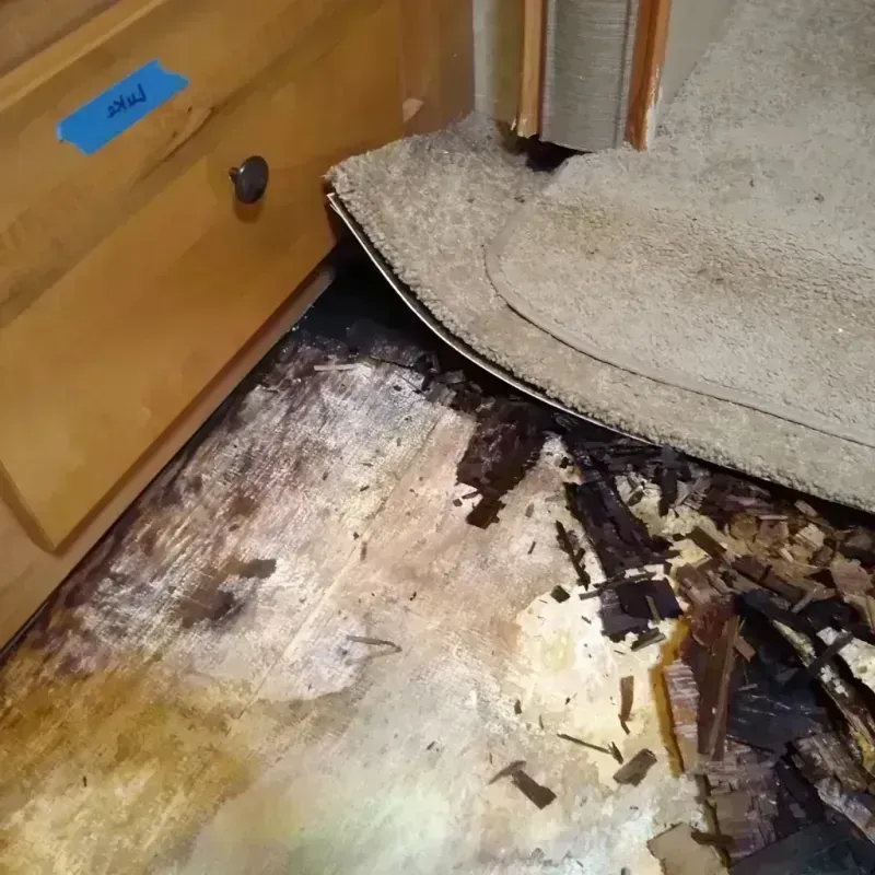 Wood Floor Water Damage in Henry County, IL